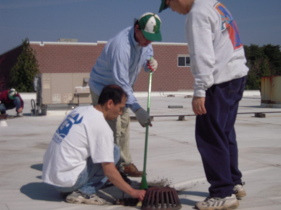 Resized_va roof 060.jpg